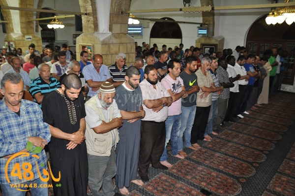 7san bek jsh (1).JPG